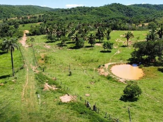 BLOCO COM 2.700 HECTARES EM TIROS MG: EXCELENTE OPORTUNIDADE PARA PECUÁRIA