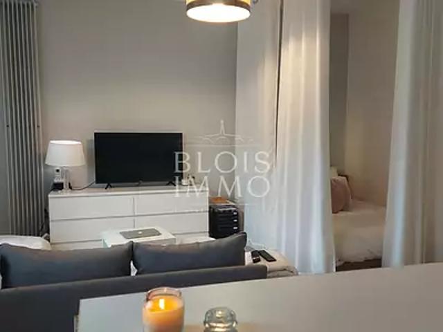 Blois 41000 Location appartement 1 pièce t1 cave