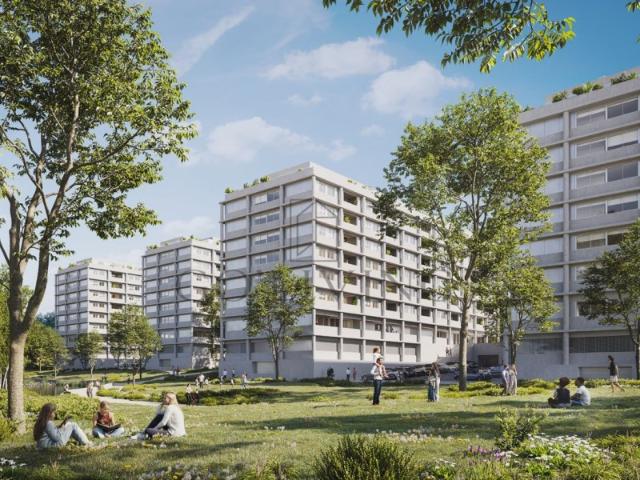 BLOOM LIVING | Quinta da Moreira Maia