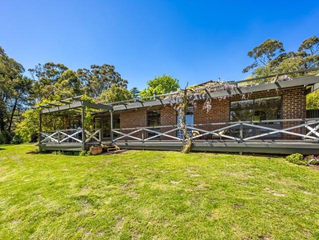 Blooming gardens, treetop calm & incredible views on almost an acre.