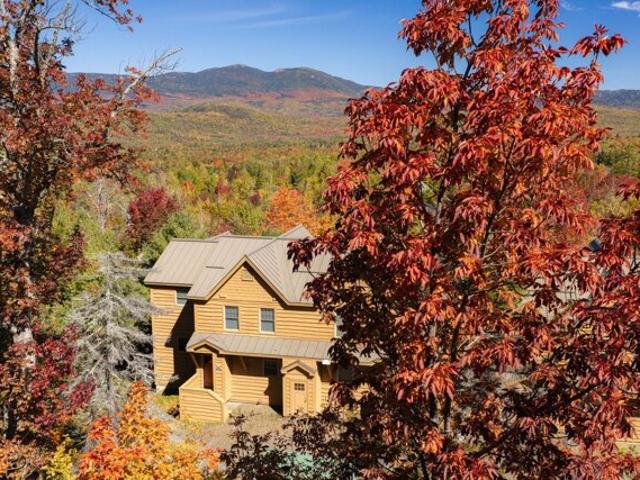 Black Bear Run Unit,carrabassett Valley, Home For Sale