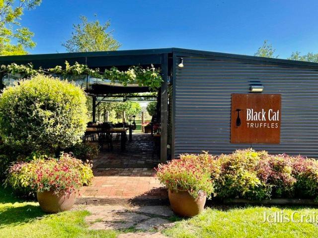 Black Cat Truffles A proven truffle enterprise with exceptional lifestyle credentials