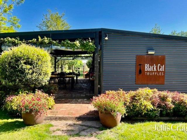 Black Cat Truffles A proven truffle enterprise with exceptional lifestyle credentials