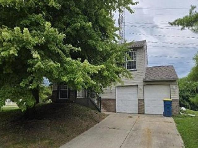 Black Locust Dr