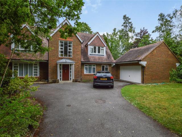 Blackdown Avenue, Pyrford, Woking, Surrey GU22, 4 bed detached house to rent, £3,950 pcm | PrimeLocation