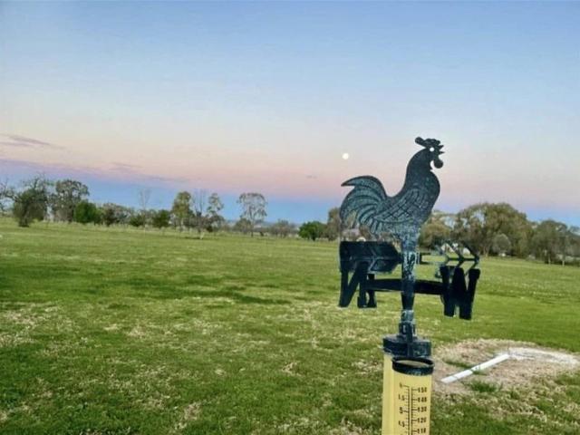 Blackville Liverpool Plains Stunning Rural Land Parcels
