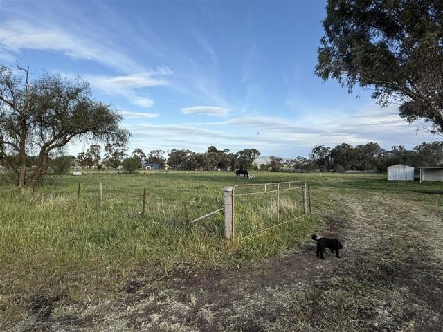 Blackville Liverpool Plains Stunning Rural Land Parcels