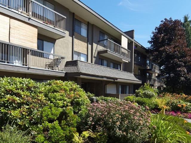 Blackwood Apartments 1 Bedroom Apartment for Rent at 1550 Blackwood St, White Rock, BC V4B 3V4