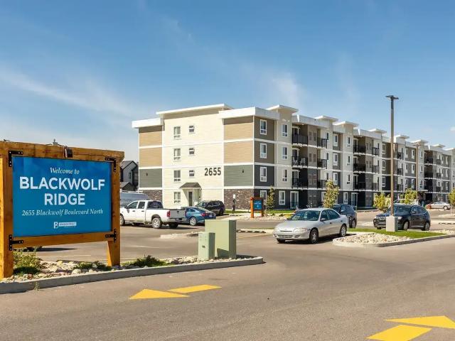 Blackwolf Ridge