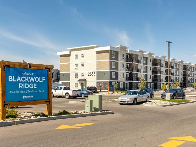 Blackwolf Ridge One Bedroom One Bath Apartment for Rent