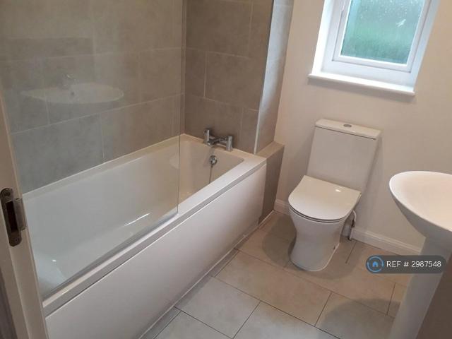 Blair Avenue, Spennymoor, DL16 3 bed semi detached house to rent £800 pcm £185 pw