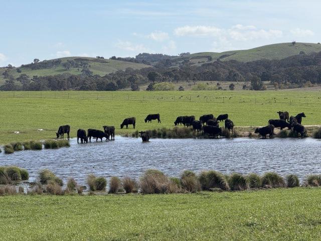 BLAKNEY CREEK