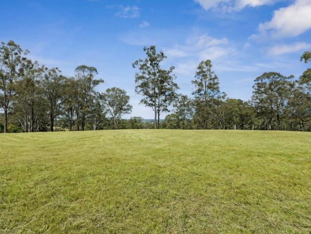 Blank Acreage Canvas with Views