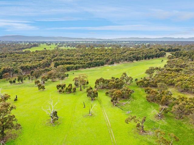 Blank Canvas Opportunity Grazing | Lifestyle
