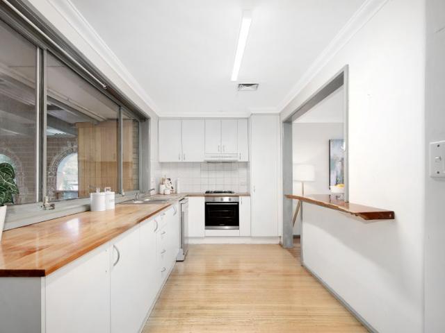 Blank Canvas with position and potential