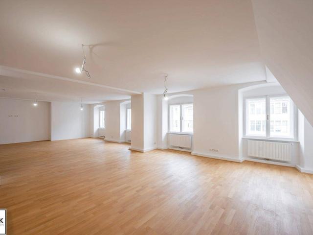 Blick zum Stephansdom: 3 Zimmer Wohnung mit großem Wohnsalon in Toplage