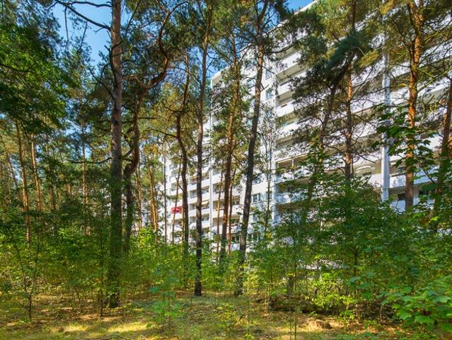 Blick zum Wald