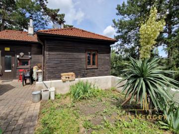 Blick auf die donau: 3 zimmer haus im schönen 19. Bezirk