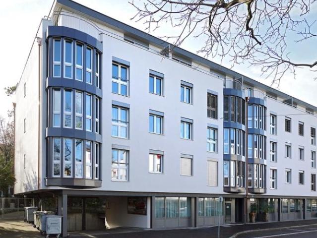 Blick in Parkanlage