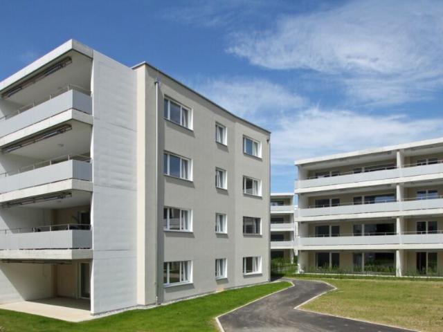 Blick ins Grüne