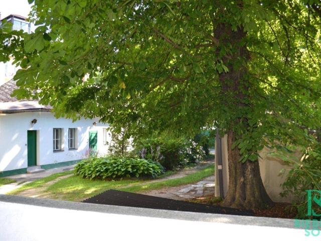 Blick ins Grüne! Zentrumsnahe Loggia Wohnung WG geeignet! Garagenplatz!