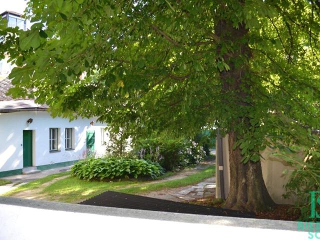 Blick Ins Grüne! Zentrumsnahe Loggia Wohnung WG Geeignet! Garagenplatz!