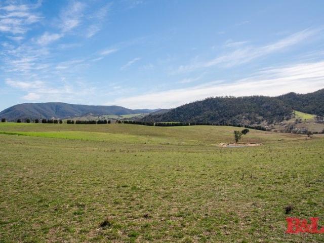 Blink Bonnie 749 Acres