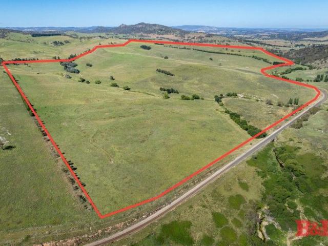 Blink Bonnie Central Tablelands Grazing Land