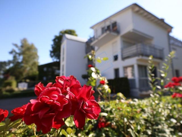 BLÜTE IN TRAUTHEIM.