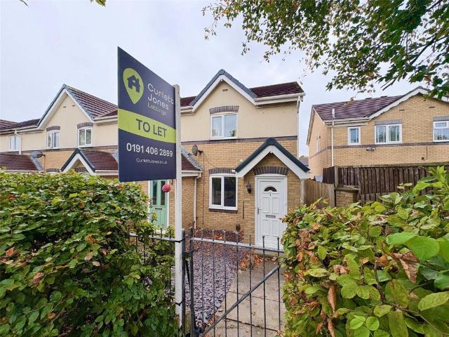 Blucher Road, North Shields NE29 2 bed end of terrace house to rent £895 pcm £207 pw