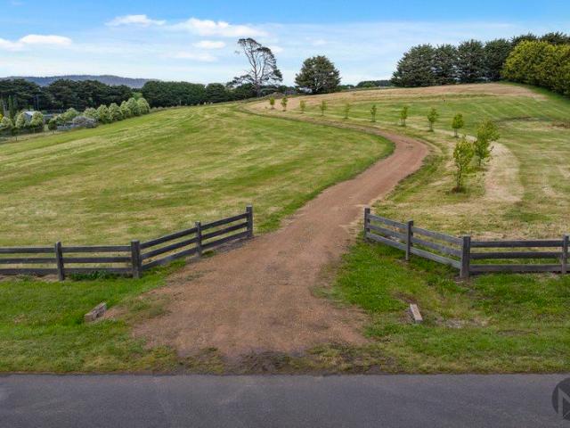 Blue Chip Country Living on 4.15 Acres