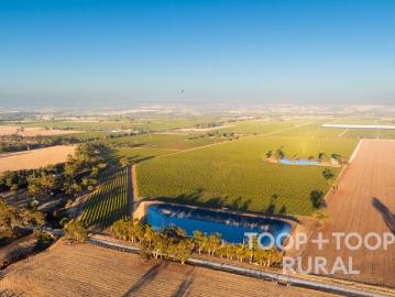 Blue Chip Barossa
