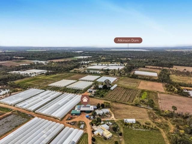 Blue Chip Opportunity to Secure a Turnkey Commercial Grade Vegetable Farm!