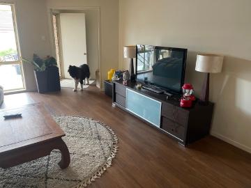 Tuggerah Lake, Jilliby, Wyong Region, Snapper Island