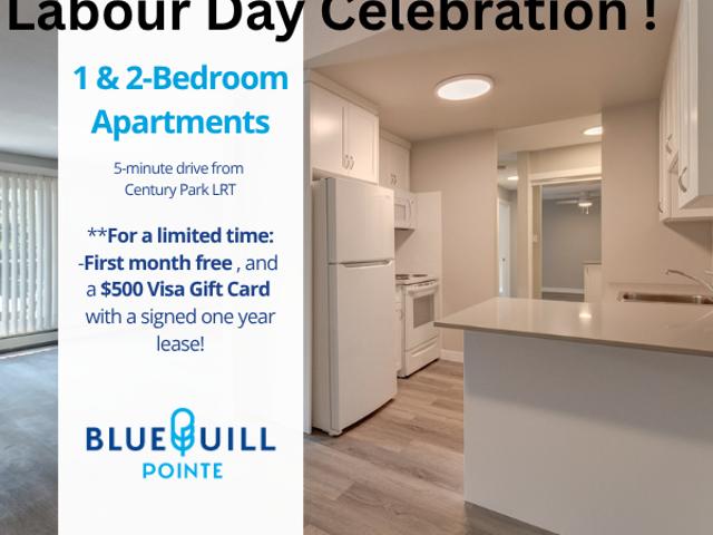 Blue Quill Pointe 1 Bedroom Renovated Apartment for Rent