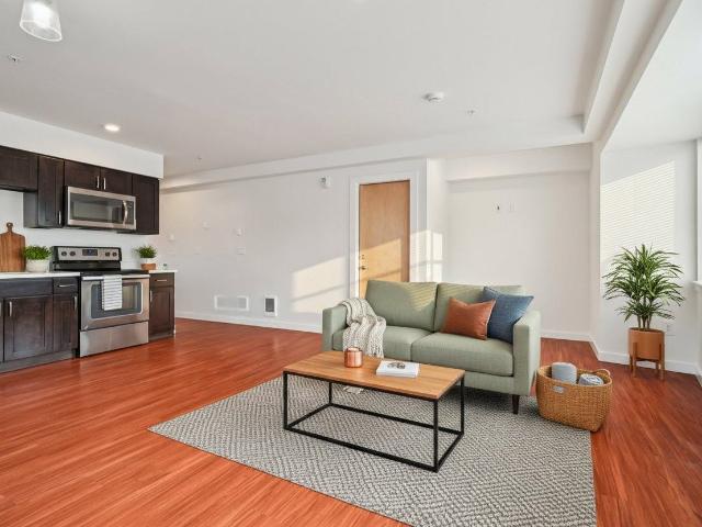 Blue Stone Apartments 1 Bedroom Apartment for Rent at 9051 20th Ave Sw, Seattle, WA 98106 South Delridge