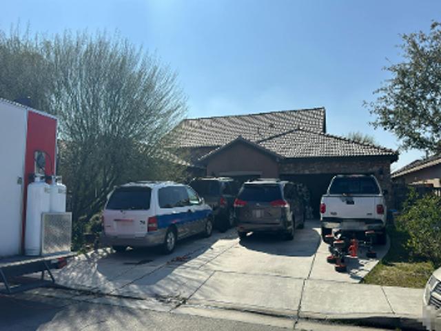 Blue Wildrye Ct