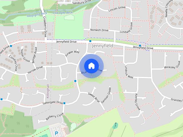 Bluebell Meadow,Harrogate,HG3