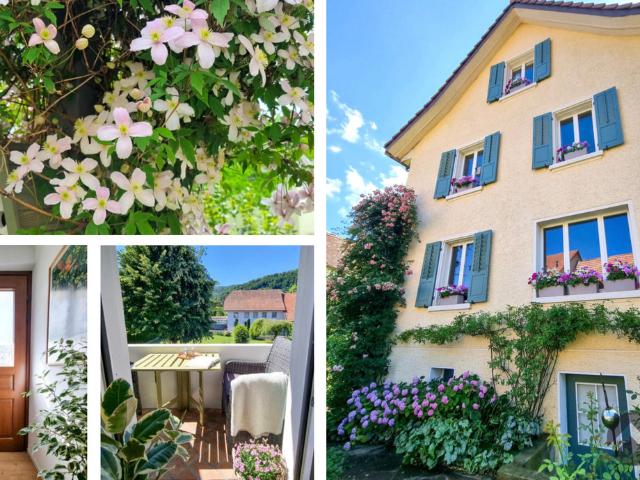 Blumiges Zuhause am «Flieder» Weg