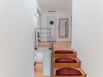 Neuenheim, Rhein-Neckar, Rhein-Neckar-Kreis, Baden-Württemberg