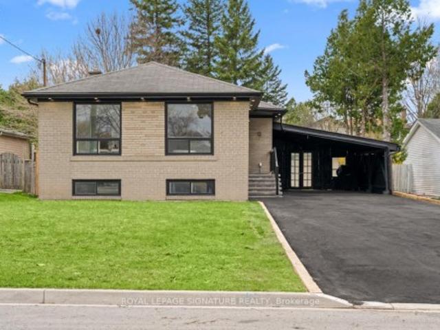 Bsmt 12 Davidson Road, Aurora, ON, L4G 2B1 house for lease | Listing ID N13778 | Royal LePage