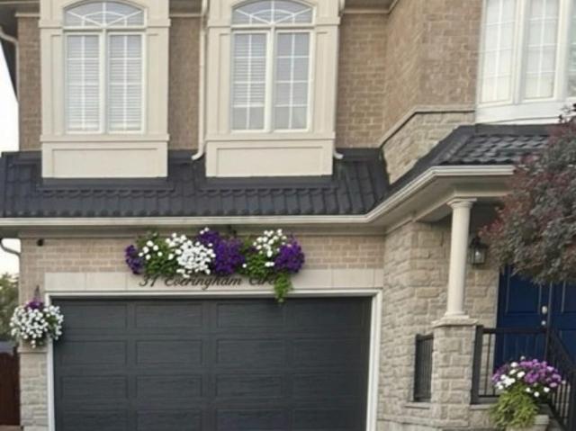 Bsmt 31 Everingham Circle, Brampton, ON, L6R 0R7 house for lease | Listing ID W13764 | Royal LePage