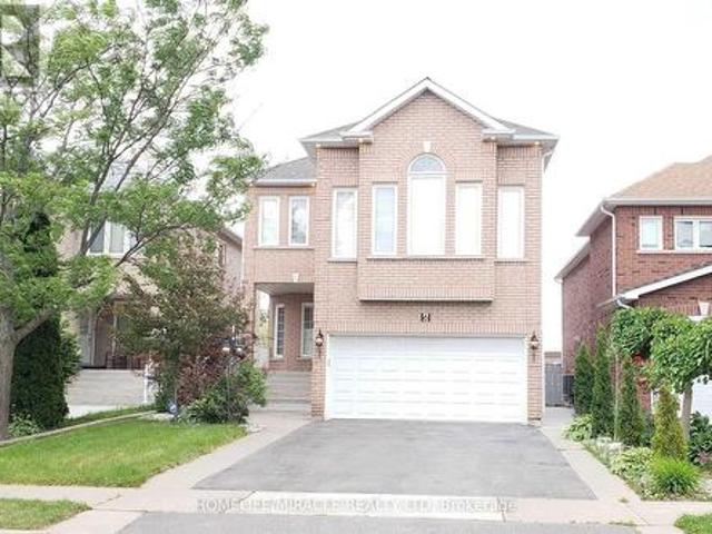 Bsmt 6 Sweet Briar Lane, Brampton, ON, L6Z 4V3 house for lease | Listing ID W13651 | Royal LePage