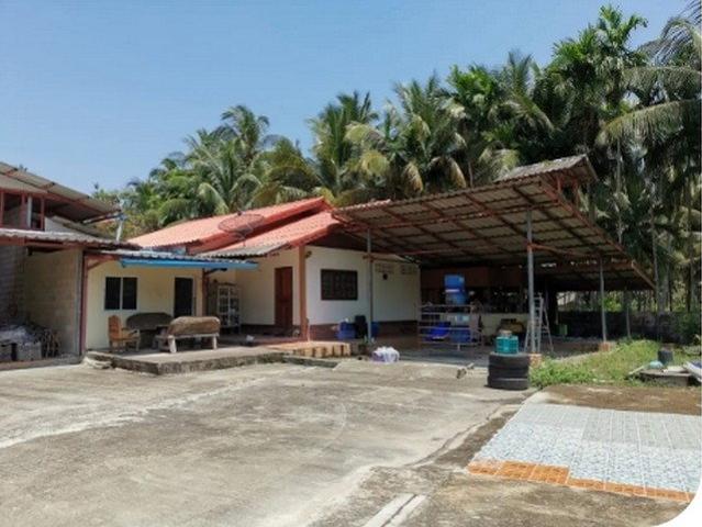 BP00501 ขายโกดัง หมู่ที่ 7 ตำบล ธงชัย อำเภอ บางสะพาน จังหวัด ประจวบคีรีขันธ์