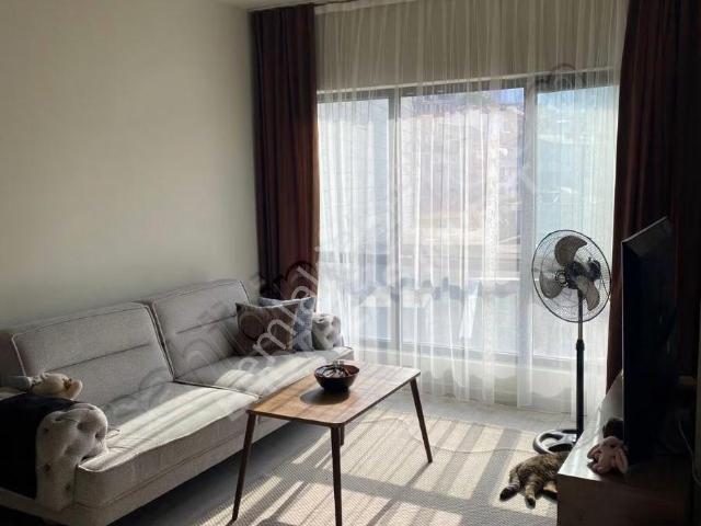 Brothers'tan Nef 04 Residence Ta Full Eşyalı Kiralık 1+1