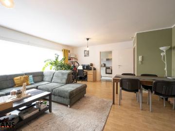 2150, Borsbeek, Province de Anvers, Flandre