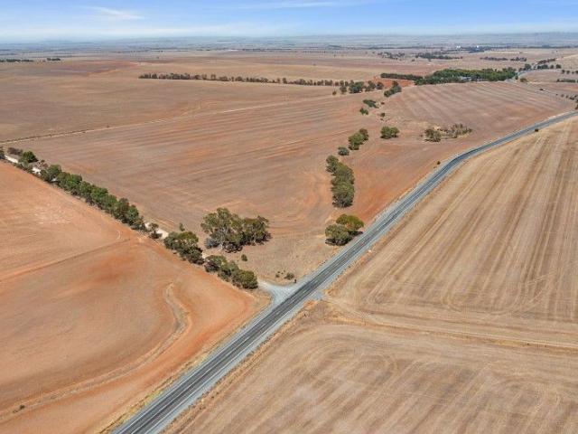 Broadacre Cropping / Grazing in the Clare Valley