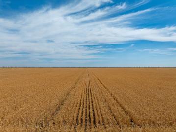 Broadacre Farmland with Billabong Creek Frontage 4,984.5 Hectares / 12,316.6 Acres