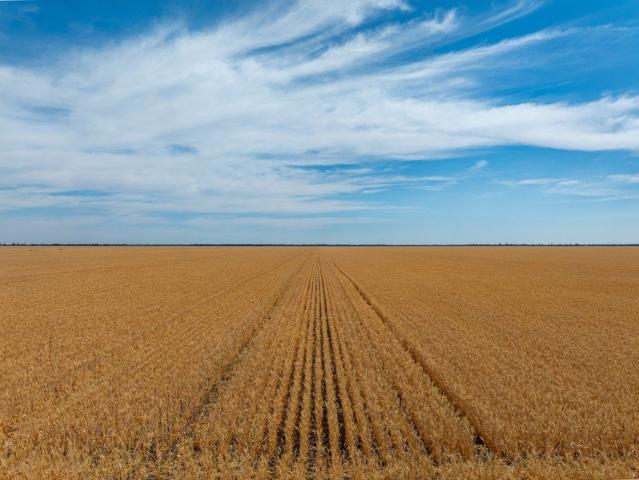 Broadacre Farmland with Billabong Creek Frontage 4,984.5 Hectares / 12,316.6 Acres