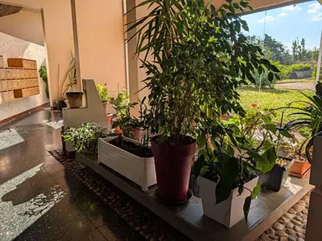 Bron 69500 Achat / Vente appartement 4 pièces t4 cave parking